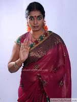 Jayavani Latest Saree Photos 3 pic 6