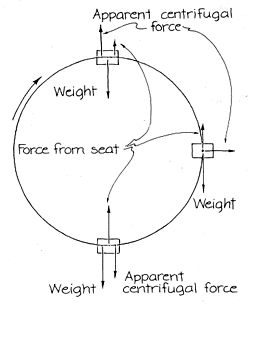 Following Physics 12 ferris wheel diagram of force 