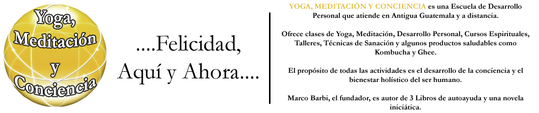 Yoga Meditacion y Conciencia 