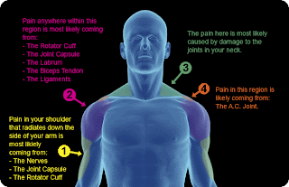Shoulder Pain- Chiropractor Shoulder Pain- Back Pain