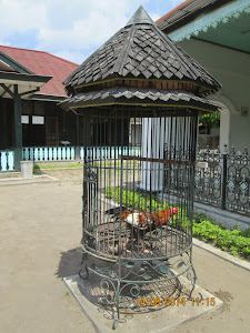 Cock birds are kept in palatial cages as pets in Sultans palace.