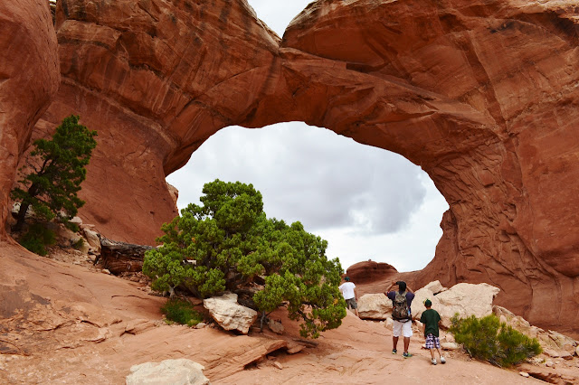 Utah: Arches & Canyonlands National Parks >> Over The Apple Tree