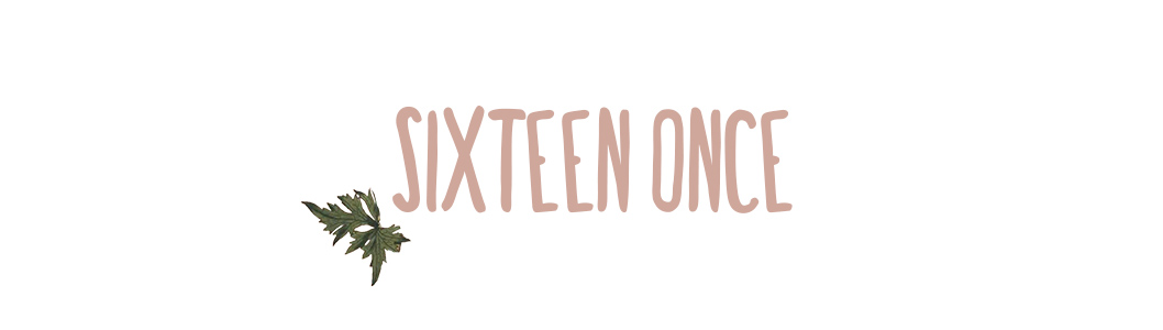 Sixteen Once