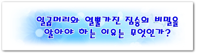 신천지 일곱머리와 열뿔가진 짐승