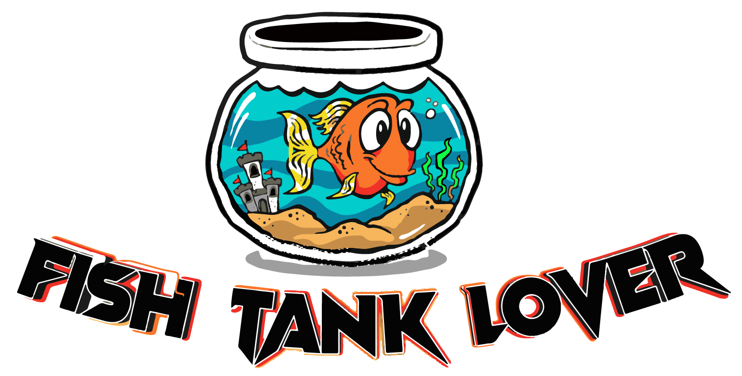 Fish Tank Lovers