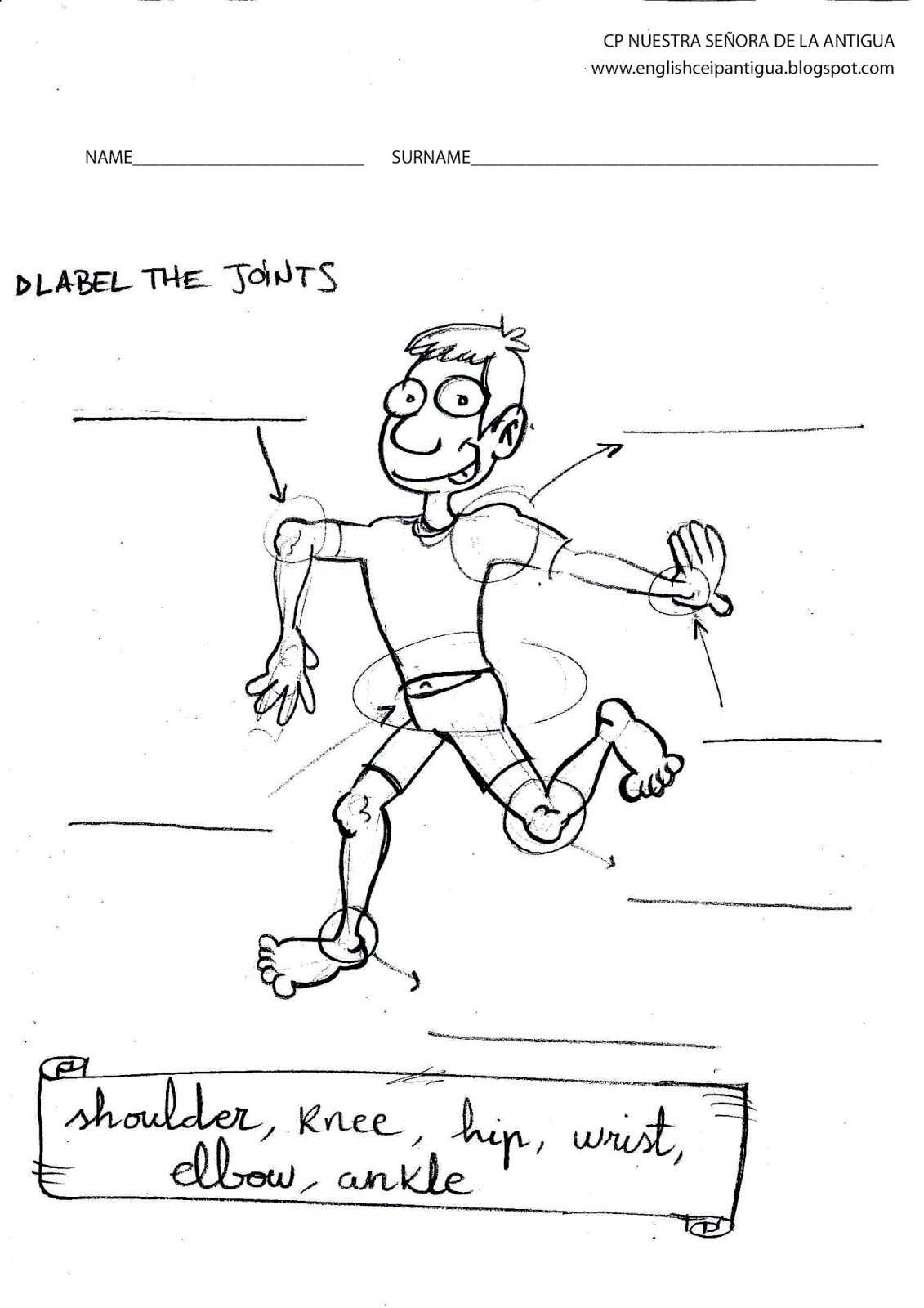 Joints And Movement Worksheet