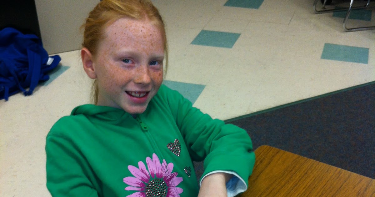 Mrs. Spies' Fourth Grade Vikings: Fraction Flip book