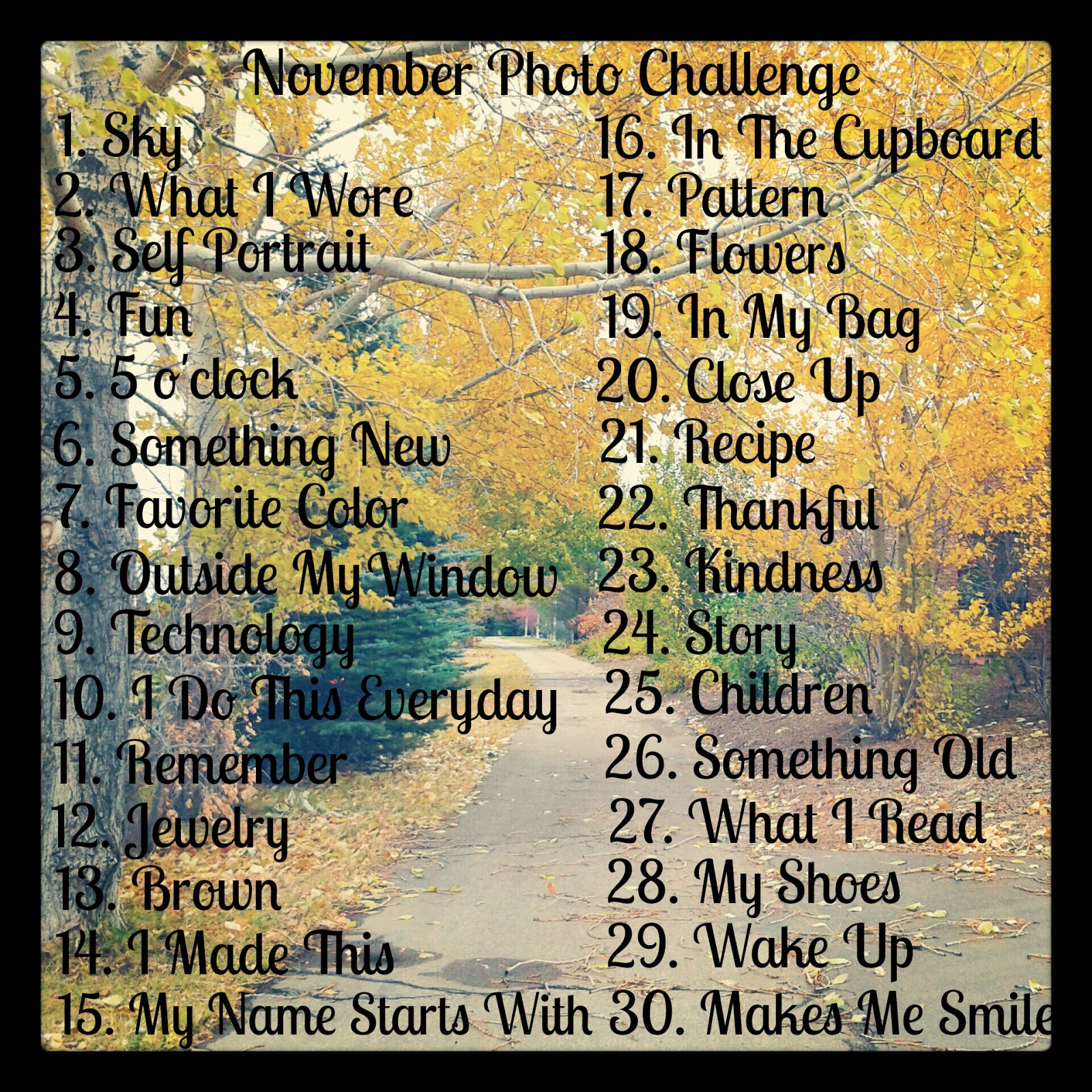 Silver Boxes November Photo Challenge