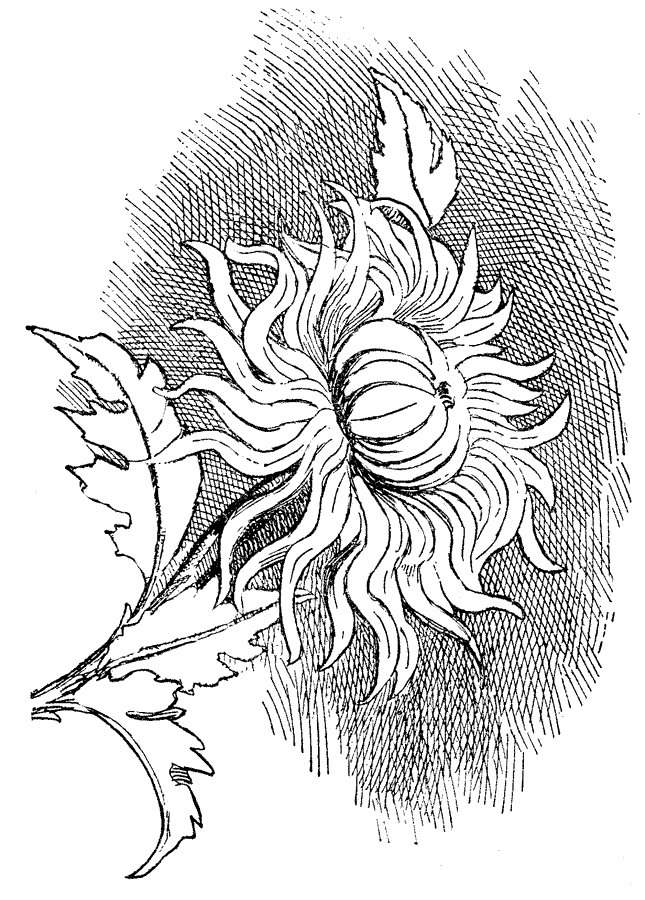 Vector Clip Art - Free Clip Art Images: 0-ColoringPages