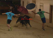 Fotos Santo António das Areias 2015