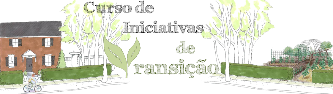 Curso de Iniciativas de Transição