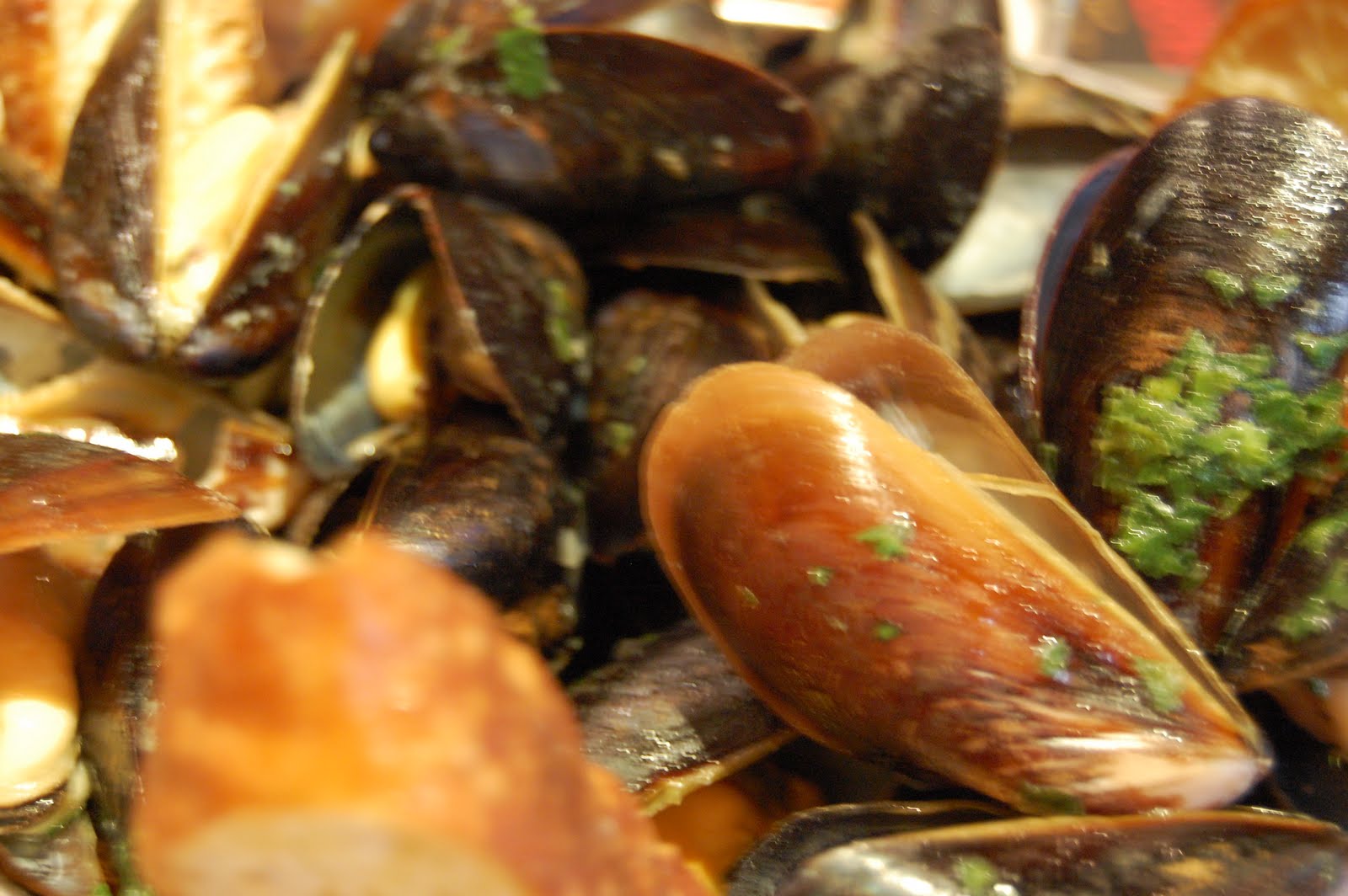 Mark and Lynn Are Famished Barrique brings at touch of Brooklyn to Babylon, NY