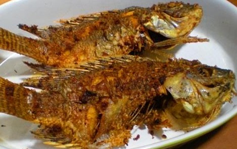 Resep dan Cara Membuat Ikan Mujair Goreng