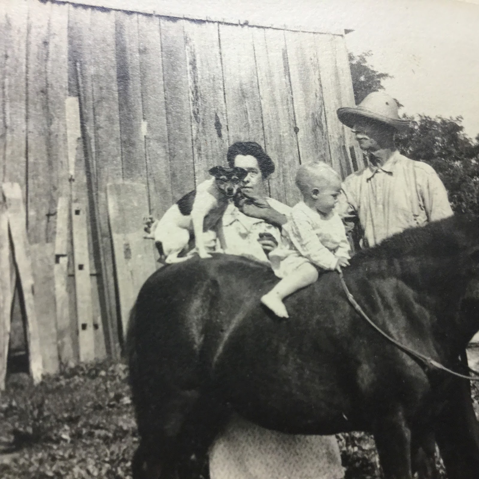 Hopper Family Genealogy