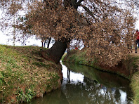 La Sèquia de Manresa davant el mas de l'Aguiló