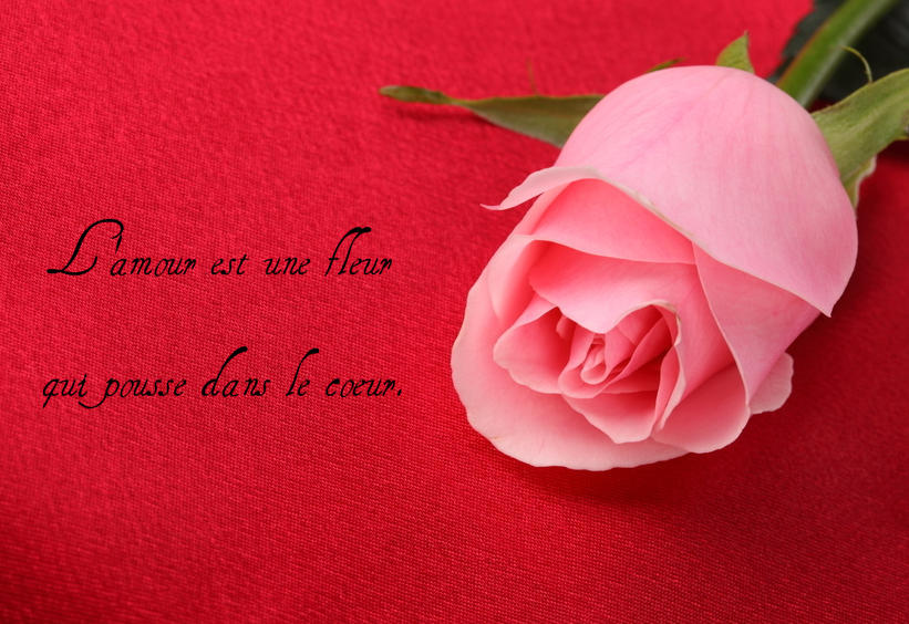 Proverebes Et Citation D�amour En Images NEW LOVE MESSAGE Proverebes Et Citation D�amour En Images NEW LOVE MESSAGE