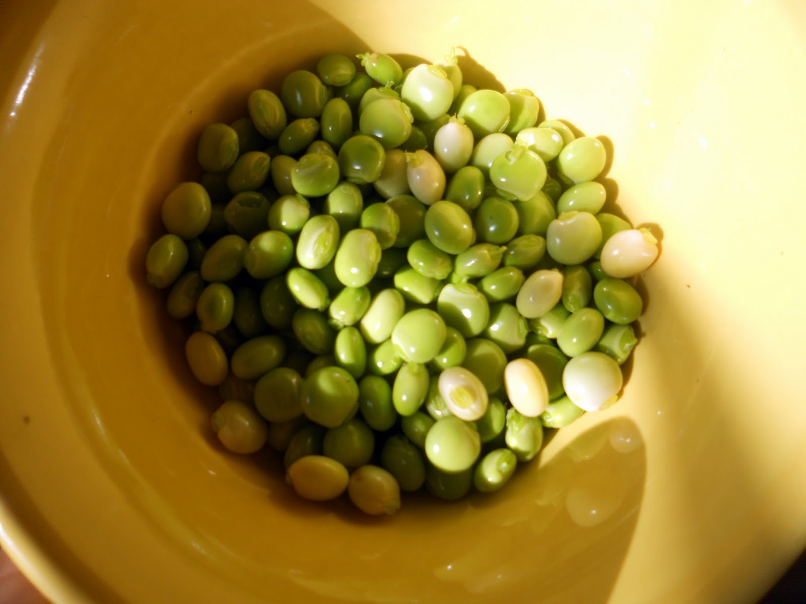 Everything Muse gandules, gandules, gandules!!!!