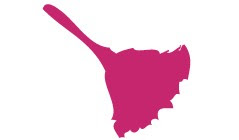 Get The Heavenly Help From the High Professionals!