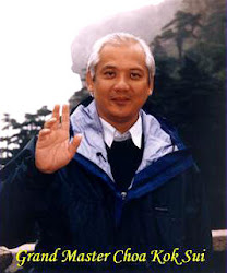 Grand Master Choa Kok sui