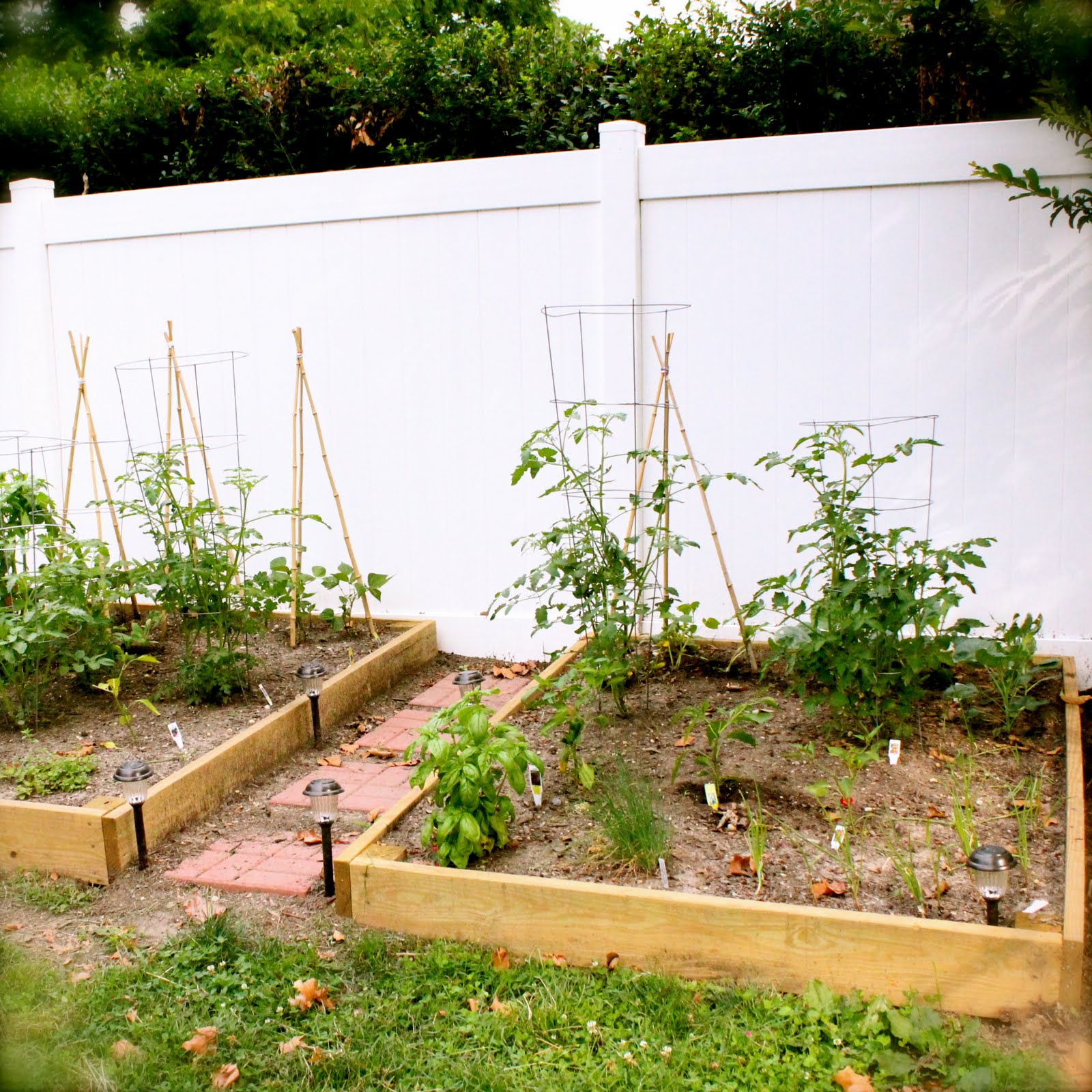 Oh What Fun: Welcome To The Garden.
