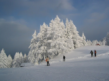 Winter Wonderland Alpendorf