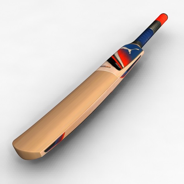 cricket-bat-3d