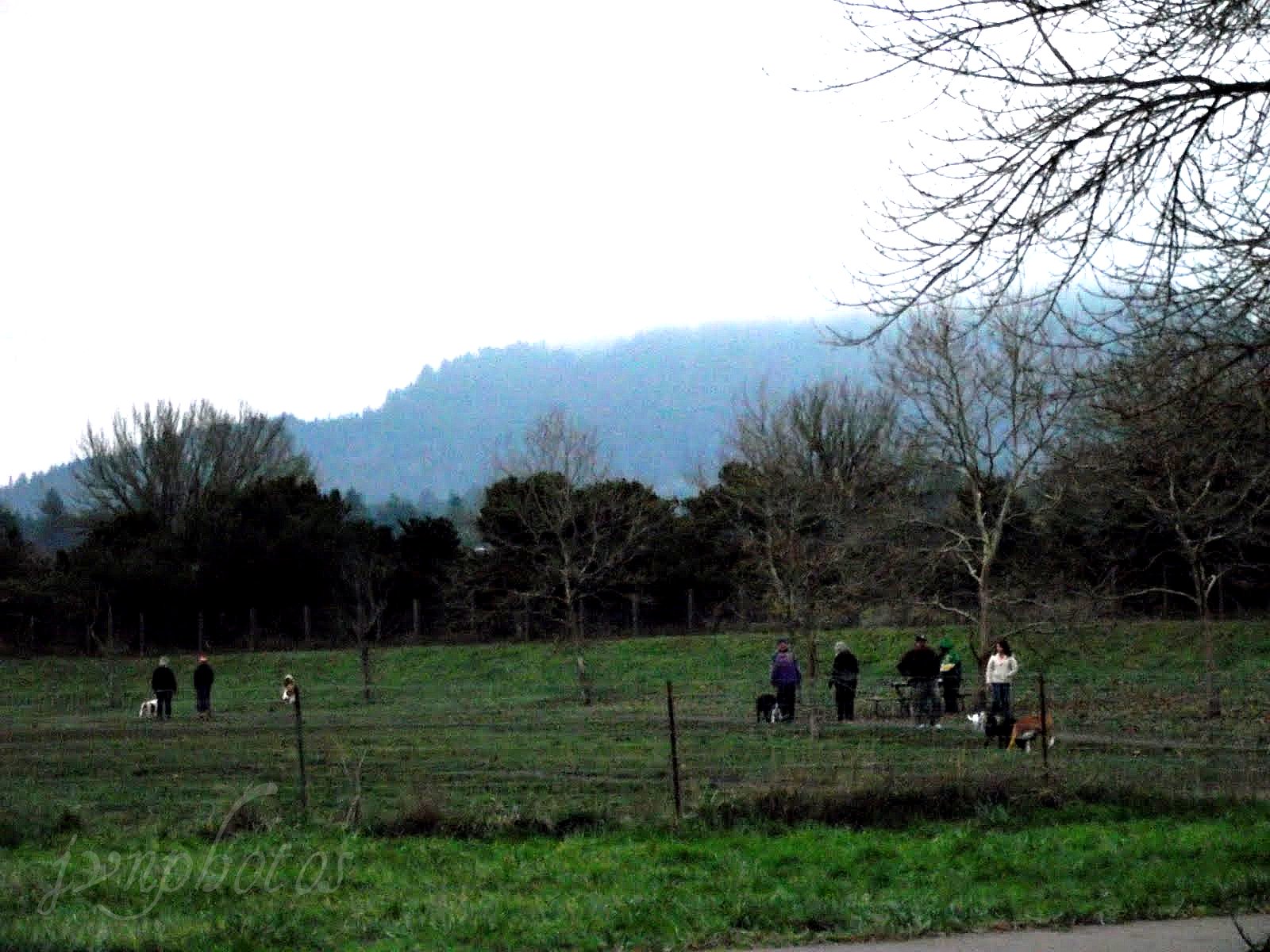 Photos by Jan Amazon Park Eugene , Oregon