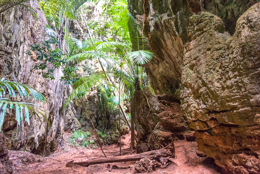 Railay. Journey to the lagoon