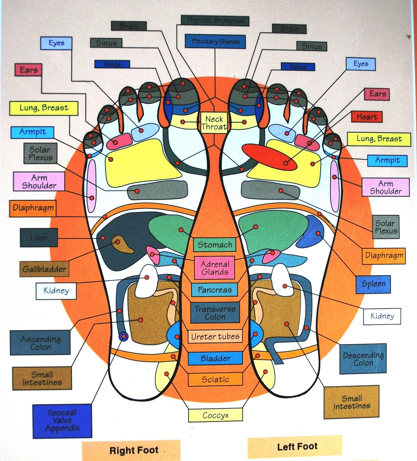 Another Day in Borneo HAPPY FEET IN BORNEO