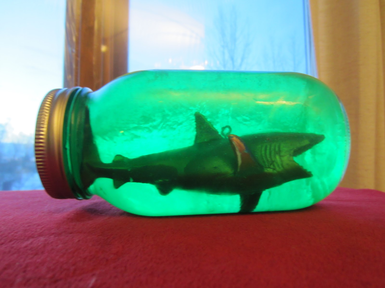 Pescadotes jar shark