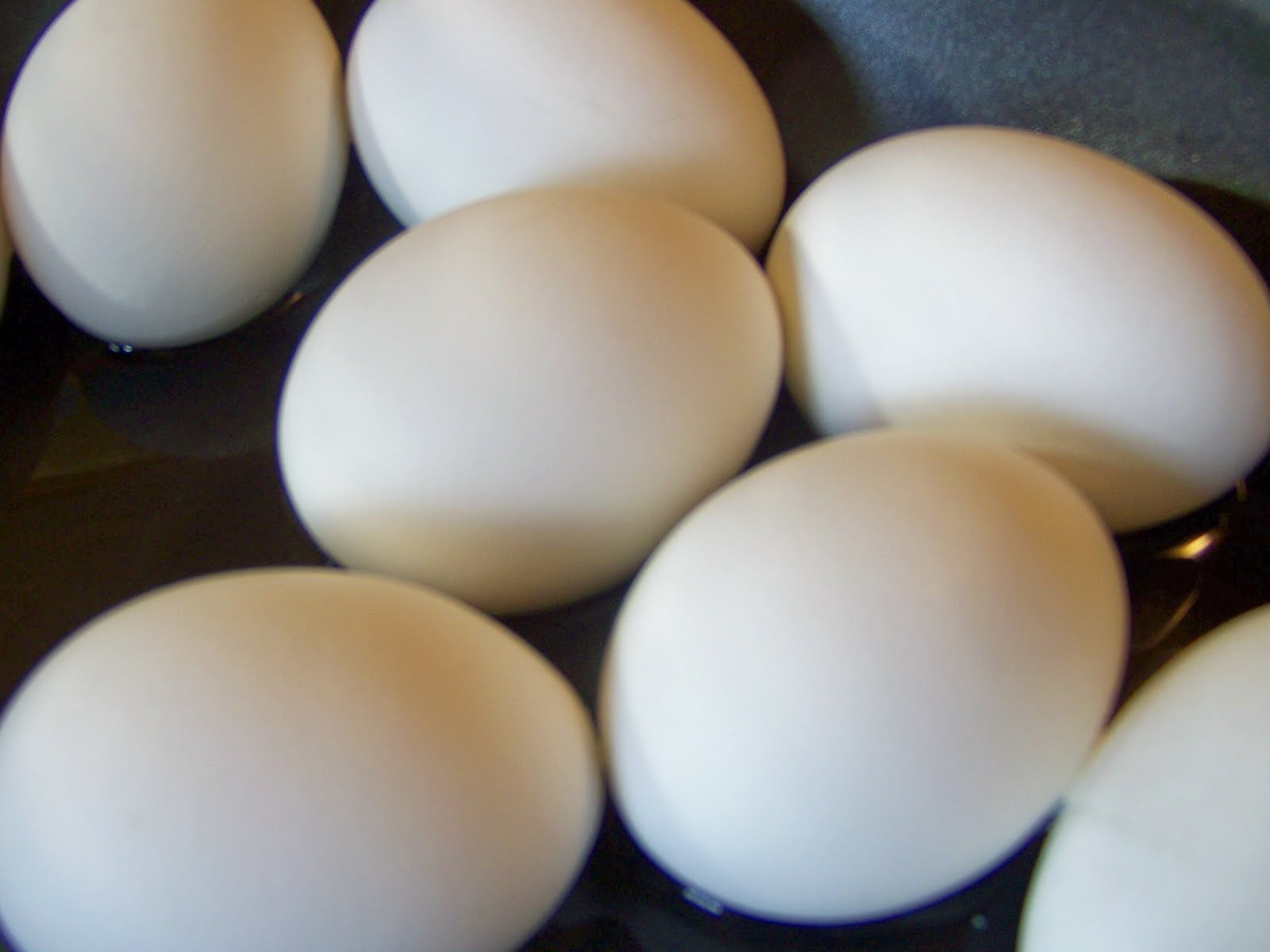 Kitchen Simmer "Eggcellent" Meatloaf