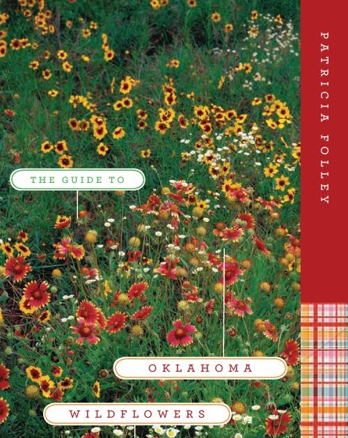 Kristina Kachele Design Guide to Oklahoma Wildflowers / cvr comps