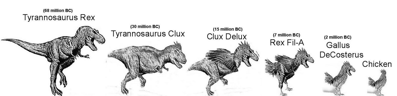 Chicken_Tyrannosaurus_Rex_Evolution.jpg