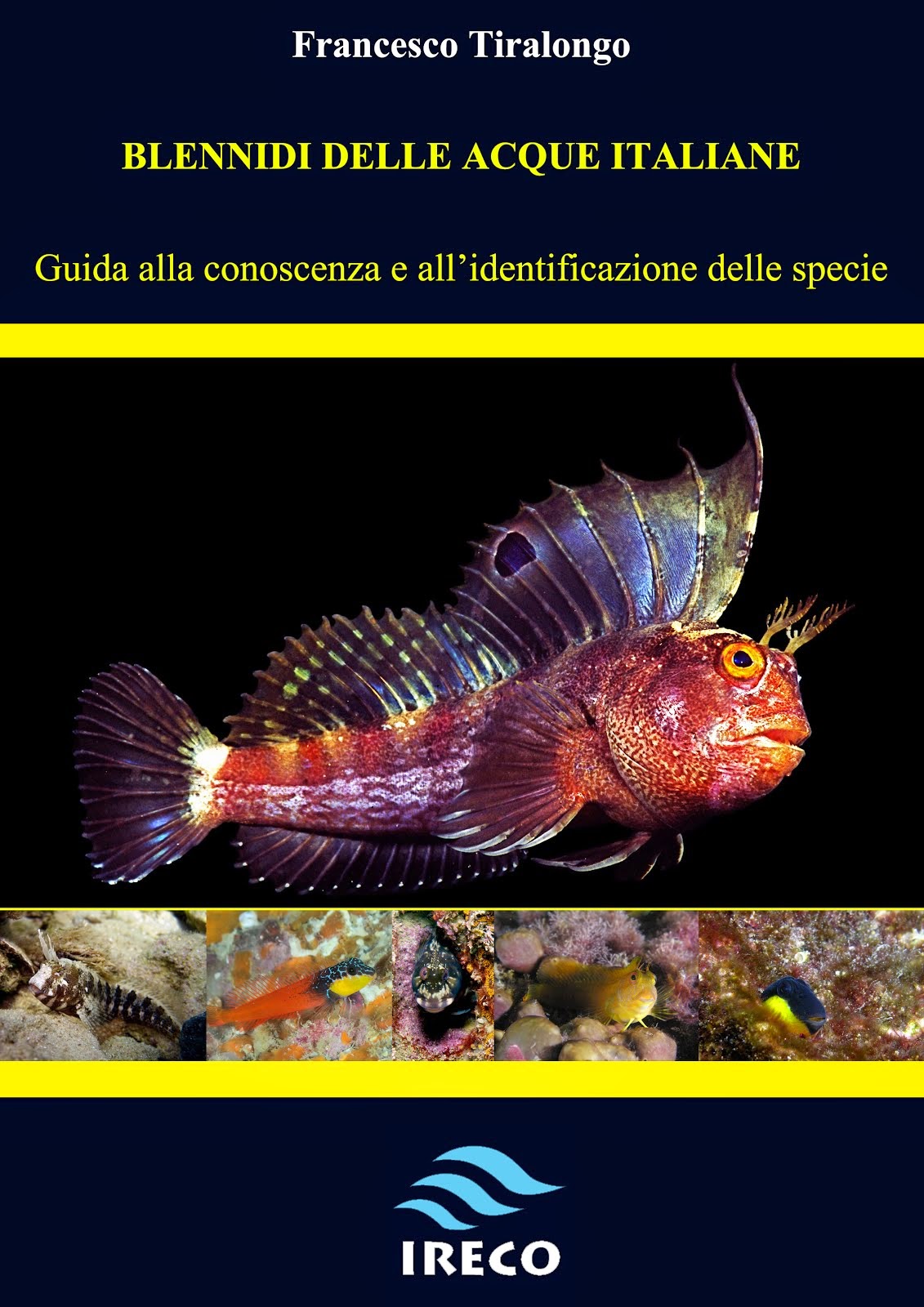 BLENNIDI DELLE ACQUE ITALIANE