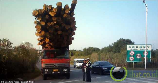 Gagah Menopang Kayu Gagah Menopang Kayu