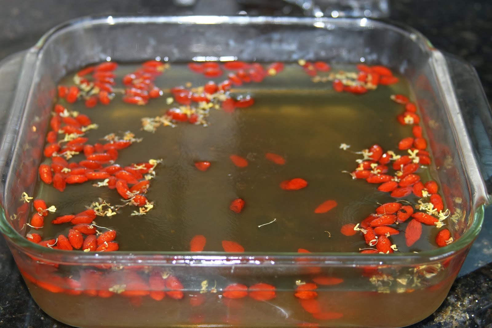 DAYDREAMEL Osmanthus Flower and Goji Berry Jelly (桂花糕)