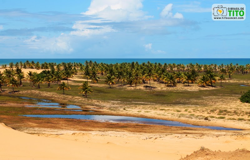 Dunas, coqueiral e lagoas próximo à Lagoa Redonda, na Reserva Biológica de Santa Isabel, em Pirambu, Sergipe - Por Tito Garcez Dunas, coqueiral e lagoas próximo à Lagoa Redonda, na Reserva Biológica de Santa Isabel, em Pirambu, Sergipe