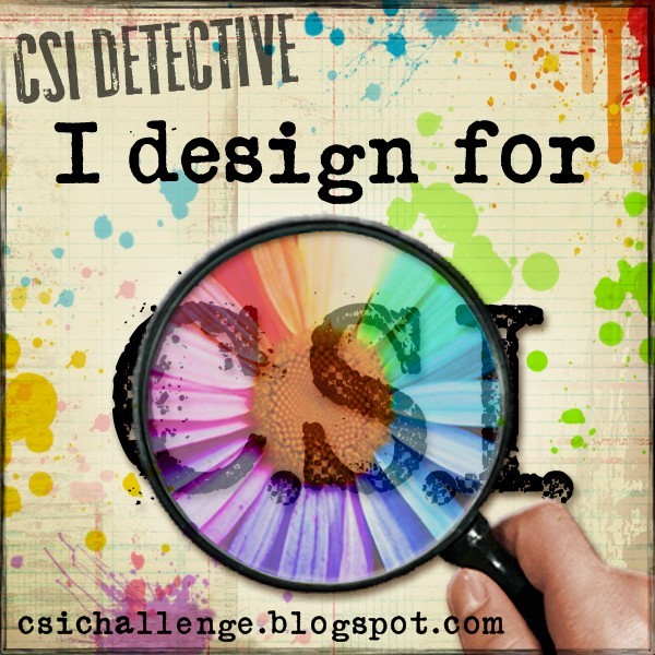 CSI Design Team