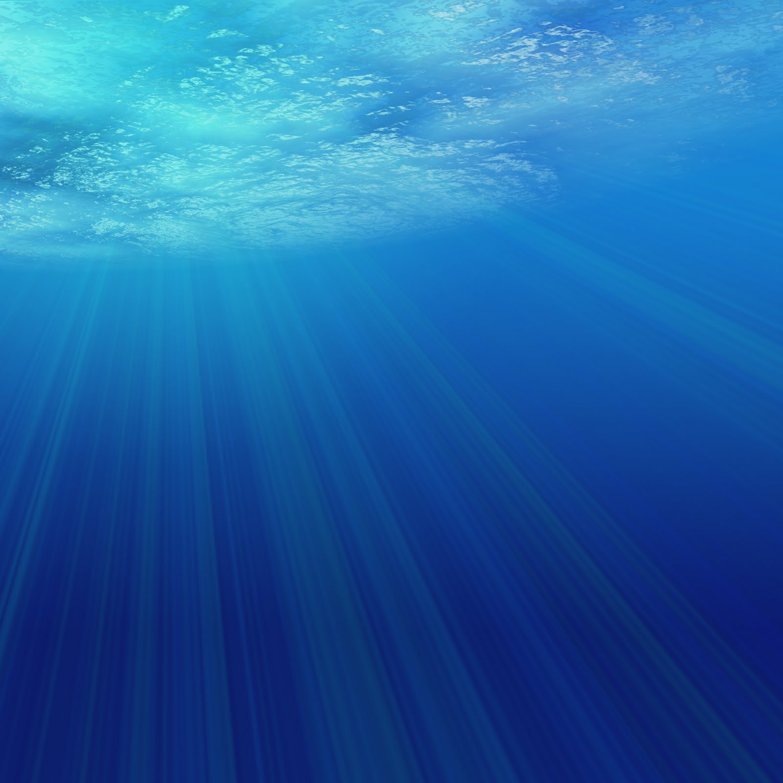Su Altı Resimleri HD Underwater Wallpapers Duvar Kağıtları Kaliteli Resim Su Altı Resimleri HD Underwater Wallpapers Duvar Kağıtları Kaliteli Resim