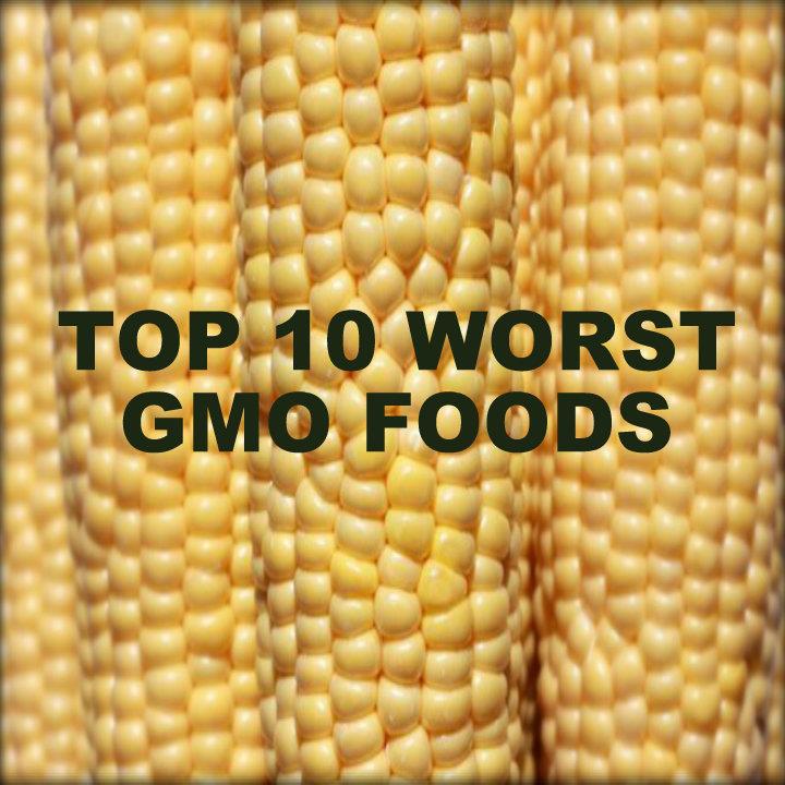 This Blog Will Blow Your Mind! Top 10 Worst GMO Foods
