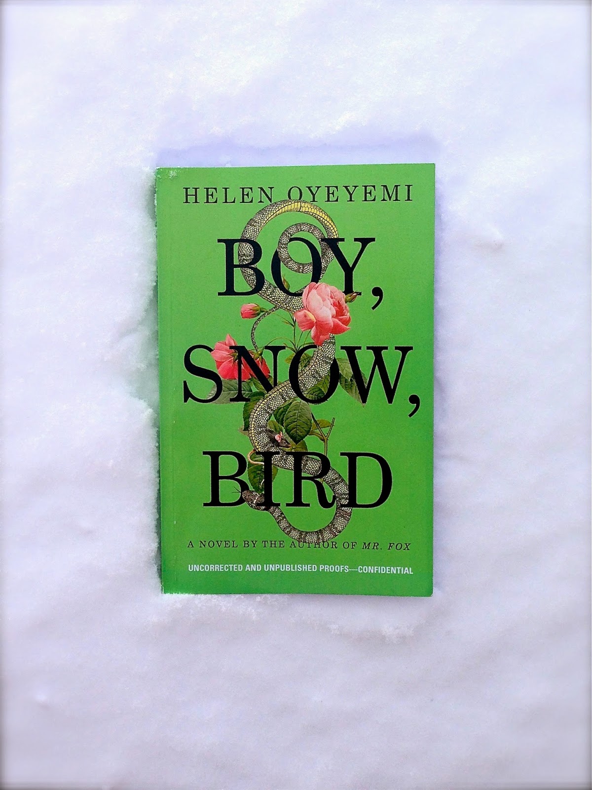 Boy, Snow, Bird by Helen Oyeyemi Boy, Snow, Bird by Helen Oyeyemi