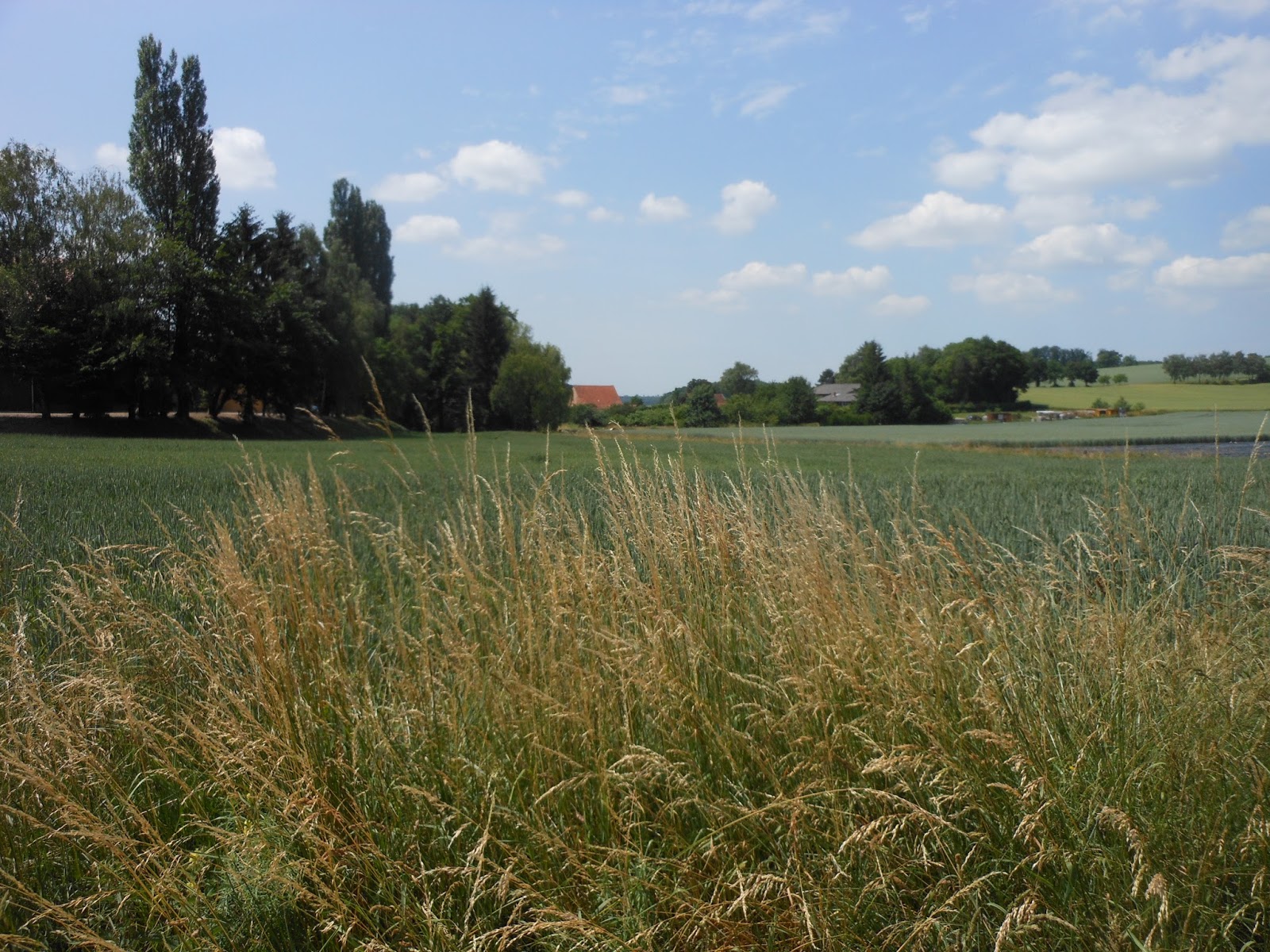 Jolinas Welt Einfach Nur Quatschen 2 Rhein Main Elternblogger