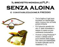 Brevetto mondiale FLP