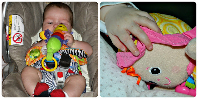 Bud and Little Miss with their Lamaze toys Freddie Firefly My Friend Emily