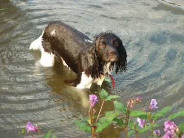 Me in water!