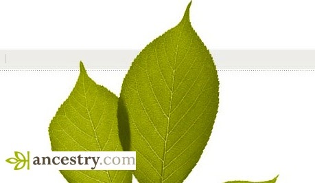 ancestry com world explorer ancestry com world explorer