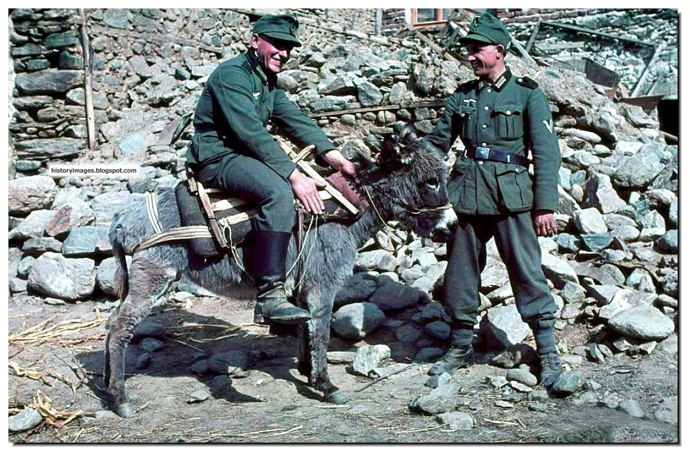 GERMAN-SOLDIERS-GERMAN-ARMY-WW2-COLOR-LARGE-IMAGES-PICTURES-bulgaria-001.jpg