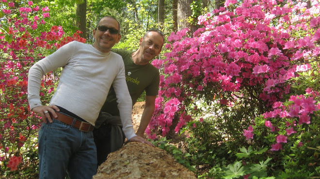 April 2012 - Rododindrons en Fleurs au Jardin Botanique de Washington