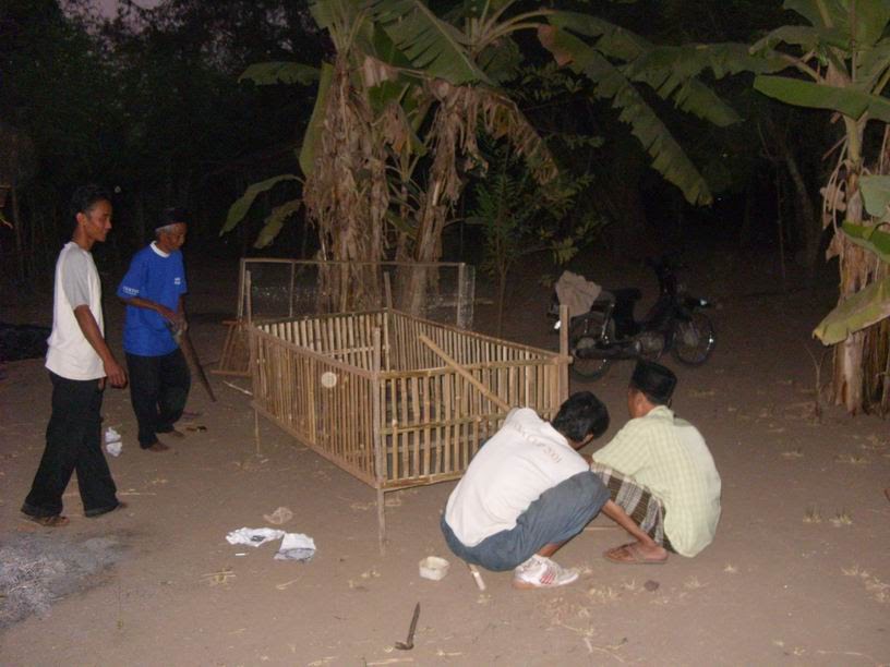 View Sooko Mojokerto Rumah Kampung Dijual Di Mojokerto Pics