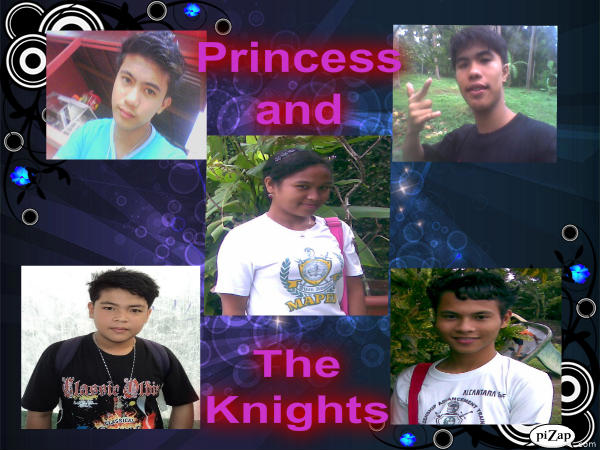 Princess and The Knights